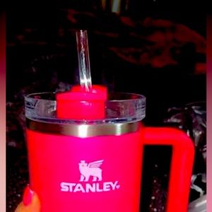 Pink Stanley Cup and hard to find